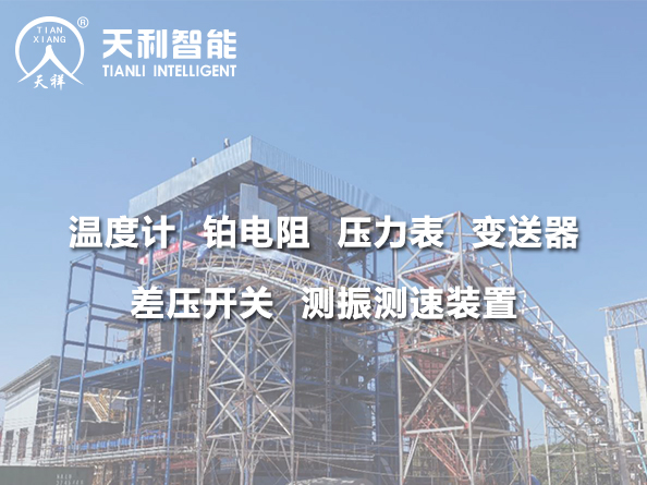 泰国生物质电站PP9号机组1*150MW机组建设工程
